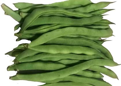 新鮮蔬菜配送:四季豆